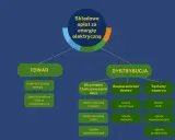 Schemat opłat za energię elektryczną: TOWAR i DYSTRYBUCJA. W dystrybucji znajdziemy m.in. opłatę kogeneracyjną.